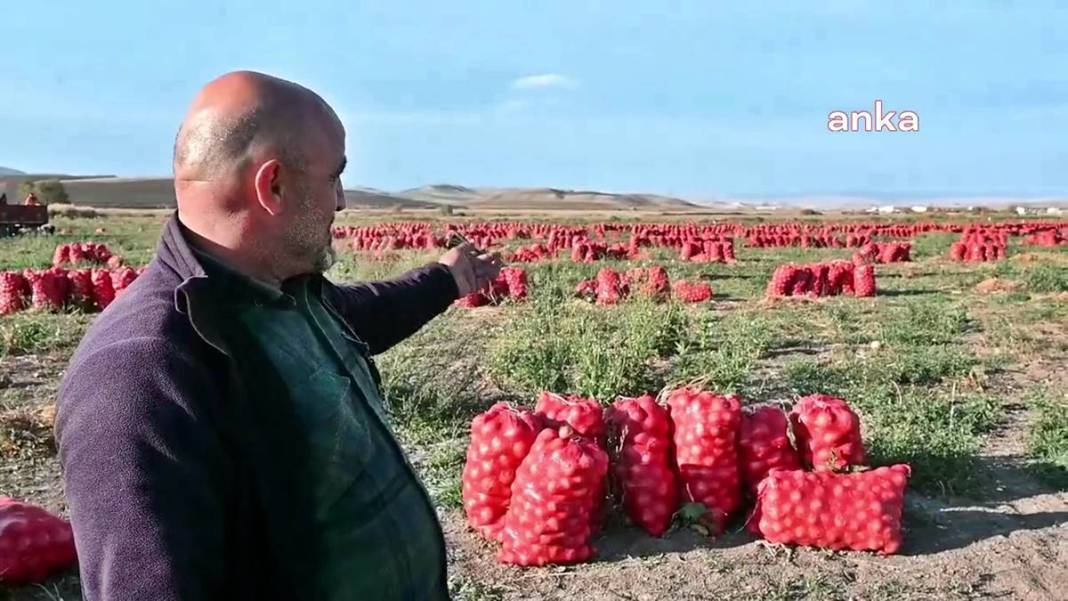 Üreticiye soğan şoku: Tonlarcası depolara kaldırılıyor! Bu kez de fazla üretim başlarına dert oldu 6